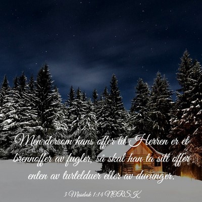 Picture 03 - 3 Mosebok 1:14 NORSK - Men dersom hans offer til Herren er et brennoffer - Bible Verse Picture