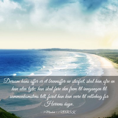 Picture 03 - 3 Mosebok 1:3 NORSK - Dersom hans offer er et brennoffer av storfeet, - Bible Verse Picture