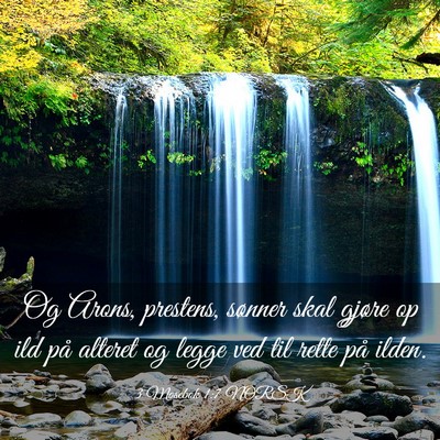 Picture 03 - 3 Mosebok 1:7 NORSK - Og Arons, prestens, sønner skal gjøre op ild - Bible Verse Picture