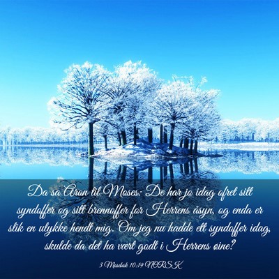 Picture 03 - 3 Mosebok 10:19 NORSK - Da sa Aron til Moses: De har jo idag ofret sitt - Bible Verse Picture