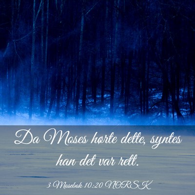 Picture 03 - 3 Mosebok 10:20 NORSK - Da Moses hørte dette, syntes han det var - Bible Verse Picture
