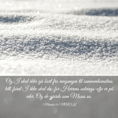 Picture 03 - 3 Mosebok 10:7 NORSK - Og I skal ikke gå bort fra inngangen til - Bible Verse Picture