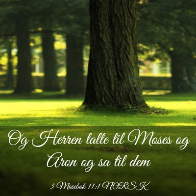 Picture 03 - 3 Mosebok 11:1 NORSK - Og Herren talte til Moses og Aron og sa til - Bible Verse Picture