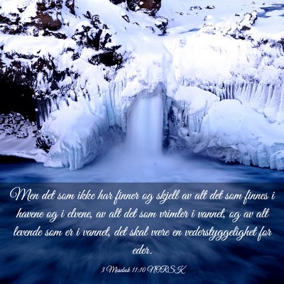 Picture 03 - 3 Mosebok 11:10 NORSK - Men det som ikke har finner og skjell av alt det - Bible Verse Picture