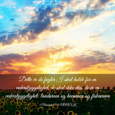 Picture 03 - 3 Mosebok 11:13 NORSK - Dette er de fugler I skal holde for en - Bible Verse Picture