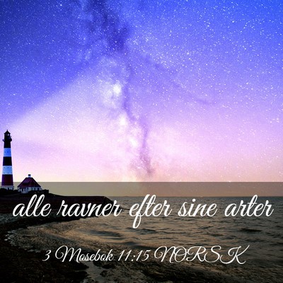 Picture 03 - 3 Mosebok 11:15 NORSK - alle ravner efter sine - Bible Verse Picture