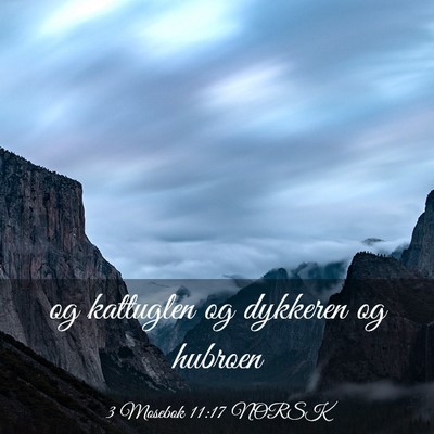 Picture 03 - 3 Mosebok 11:17 NORSK - og kattuglen og dykkeren og - Bible Verse Picture