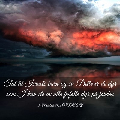 Picture 03 - 3 Mosebok 11:2 NORSK - Tal til Israels barn og si: Dette er de dyr som I - Bible Verse Picture