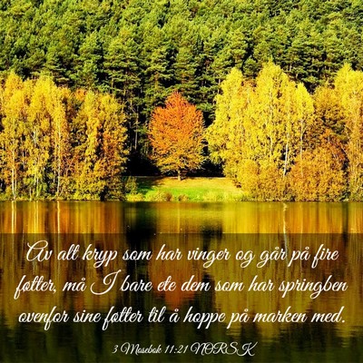 Picture 03 - 3 Mosebok 11:21 NORSK - Av alt kryp som har vinger og går på fire - Bible Verse Picture
