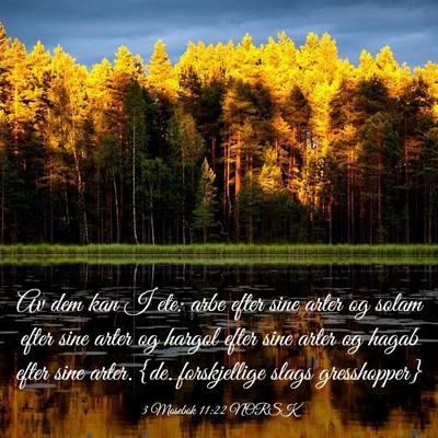 Picture 03 - 3 Mosebok 11:22 NORSK - Av dem kan I ete: arbe efter sine arter og solam - Bible Verse Picture