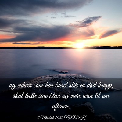 Picture 03 - 3 Mosebok 11:25 NORSK - og enhver som har båret slik en død kropp, skal - Bible Verse Picture
