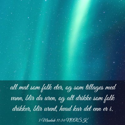 Picture 03 - 3 Mosebok 11:34 NORSK - all mat som folk eter, og som tillages med vann, - Bible Verse Picture