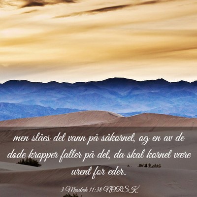 Picture 03 - 3 Mosebok 11:38 NORSK - men slåes det vann på såkornet, og en av de - Bible Verse Picture