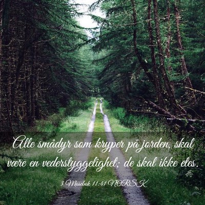 Picture 03 - 3 Mosebok 11:41 NORSK - Alle smådyr som kryper på jorden, skal være en - Bible Verse Picture