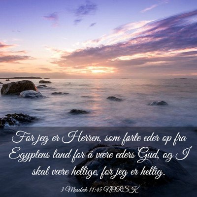 Picture 03 - 3 Mosebok 11:45 NORSK - For jeg er Herren, som førte eder op fra - Bible Verse Picture