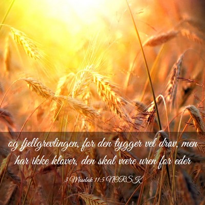 Picture 03 - 3 Mosebok 11:5 NORSK - og fjellgrevlingen, for den tygger vel drøv, men - Bible Verse Picture