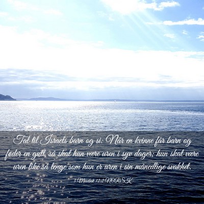 Picture 03 - 3 Mosebok 12:2 NORSK - Tal til Israels barn og si: Når en kvinne får - Bible Verse Picture