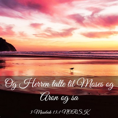 Picture 03 - 3 Mosebok 13:1 NORSK - Og Herren talte til Moses og Aron og - Bible Verse Picture