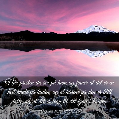 Picture 03 - 3 Mosebok 13:10 NORSK - Når presten da ser på ham og finner at det er - Bible Verse Picture