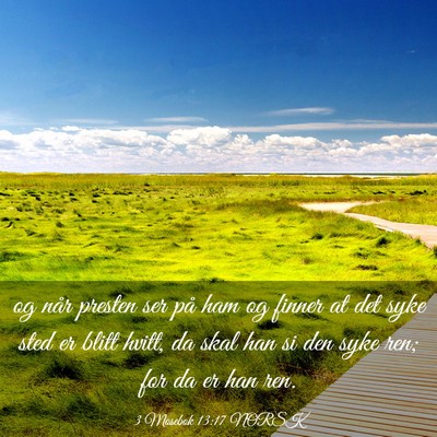 Picture 03 - 3 Mosebok 13:17 NORSK - og når presten ser på ham og finner at det syke - Bible Verse Picture