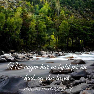 Picture 03 - 3 Mosebok 13:18 NORSK - Når nogen har en byld på sin hud, og den - Bible Verse Picture