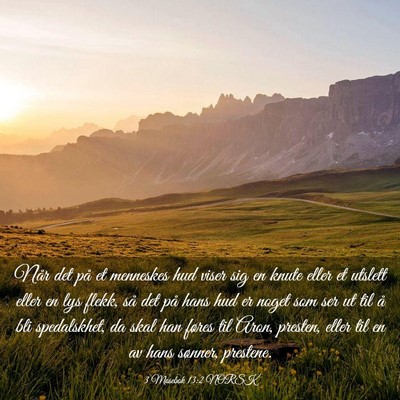 Picture 03 - 3 Mosebok 13:2 NORSK - Når det på et menneskes hud viser sig en knute - Bible Verse Picture