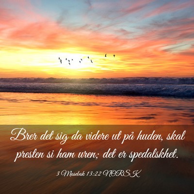Picture 03 - 3 Mosebok 13:22 NORSK - Brer det sig da videre ut på huden, skal presten - Bible Verse Picture