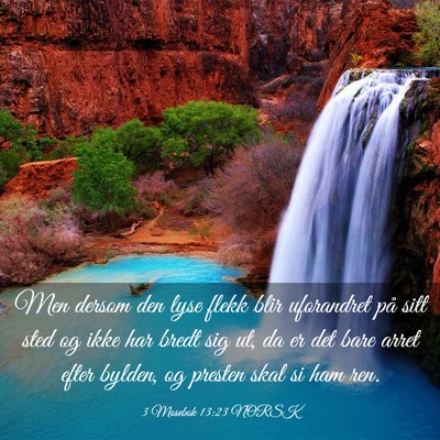 Picture 03 - 3 Mosebok 13:23 NORSK - Men dersom den lyse flekk blir uforandret på - Bible Verse Picture