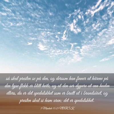 Picture 03 - 3 Mosebok 13:25 NORSK - så skal presten se på den, og dersom han finner - Bible Verse Picture