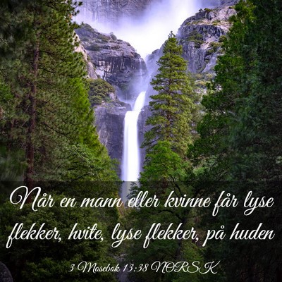 Picture 03 - 3 Mosebok 13:38 NORSK - Når en mann eller kvinne får lyse flekker, - Bible Verse Picture
