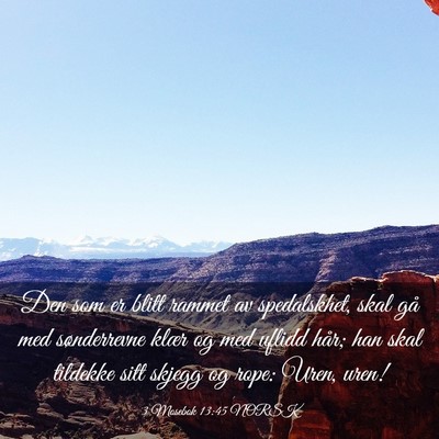 Picture 03 - 3 Mosebok 13:45 NORSK - Den som er blitt rammet av spedalskhet, skal gå - Bible Verse Picture