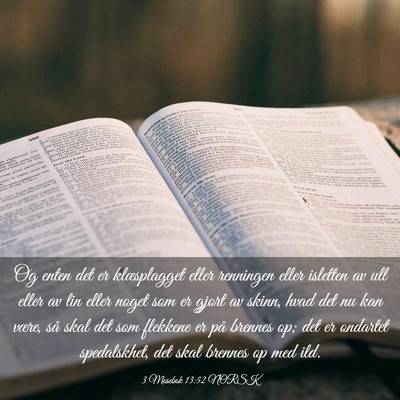 Picture 03 - 3 Mosebok 13:52 NORSK - Og enten det er klæsplagget eller renningen - Bible Verse Picture