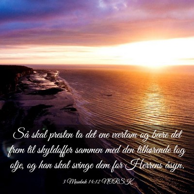 Picture 03 - 3 Mosebok 14:12 NORSK - Så skal presten ta det ene værlam og bære det - Bible Verse Picture