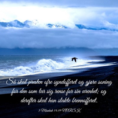 Picture 03 - 3 Mosebok 14:19 NORSK - Så skal presten ofre syndofferet og gjøre - Bible Verse Picture