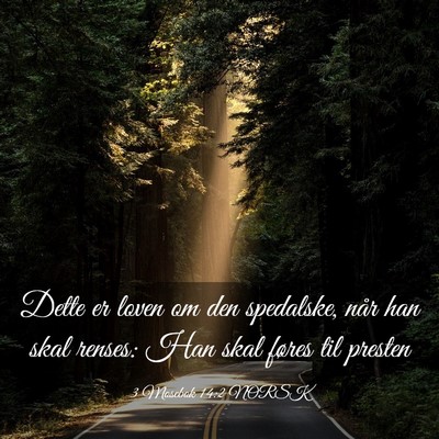 Picture 03 - 3 Mosebok 14:2 NORSK - Dette er loven om den spedalske, når han skal - Bible Verse Picture
