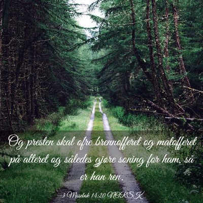 Picture 03 - 3 Mosebok 14:20 NORSK - Og presten skal ofre brennofferet og matofferet - Bible Verse Picture