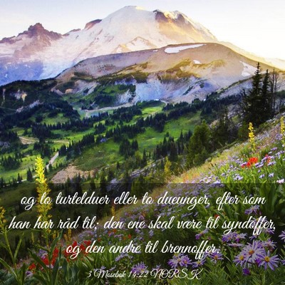 Picture 03 - 3 Mosebok 14:22 NORSK - og to turtelduer eller to dueunger, efter som han - Bible Verse Picture