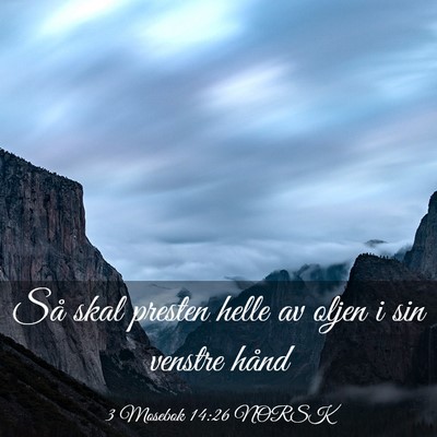 Picture 03 - 3 Mosebok 14:26 NORSK - Så skal presten helle av oljen i sin venstre - Bible Verse Picture