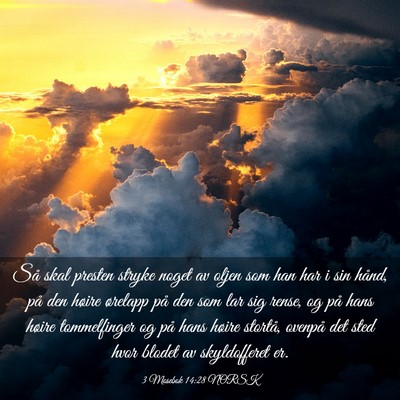 Picture 03 - 3 Mosebok 14:28 NORSK - Så skal presten stryke noget av oljen som han - Bible Verse Picture