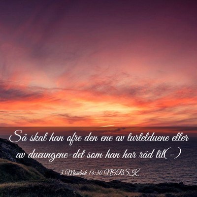 Picture 03 - 3 Mosebok 14:30 NORSK - Så skal han ofre den ene av turtelduene eller av - Bible Verse Picture
