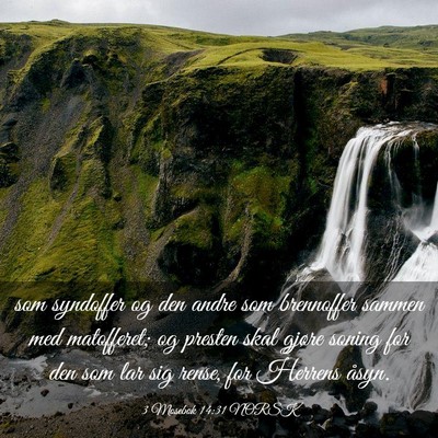 Picture 03 - 3 Mosebok 14:31 NORSK - som syndoffer og den andre som brennoffer sammen - Bible Verse Picture