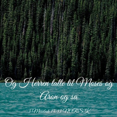 Picture 03 - 3 Mosebok 14:33 NORSK - Og Herren talte til Moses og Aron og - Bible Verse Picture