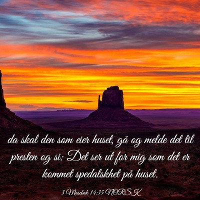 Picture 03 - 3 Mosebok 14:35 NORSK - da skal den som eier huset, gå og melde det til - Bible Verse Picture