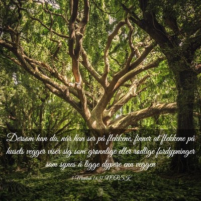 Picture 03 - 3 Mosebok 14:37 NORSK - Dersom han da, når han ser på flekkene, finner - Bible Verse Picture
