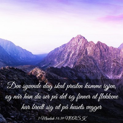 Picture 03 - 3 Mosebok 14:39 NORSK - Den syvende dag skal presten komme igjen, og når - Bible Verse Picture