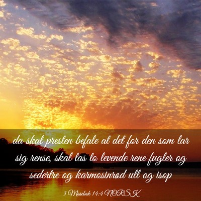 Picture 03 - 3 Mosebok 14:4 NORSK - da skal presten befale at det for den som lar sig - Bible Verse Picture
