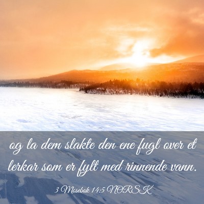Picture 03 - 3 Mosebok 14:5 NORSK - og la dem slakte den ene fugl over et lerkar som - Bible Verse Picture