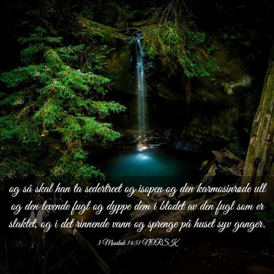 Picture 03 - 3 Mosebok 14:51 NORSK - og så skal han ta sedertreet og isopen og den - Bible Verse Picture