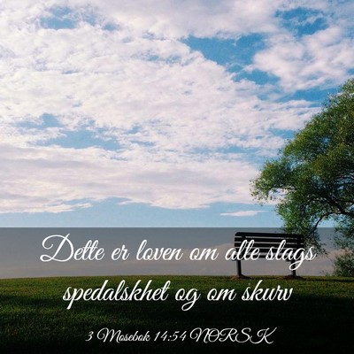 Picture 03 - 3 Mosebok 14:54 NORSK - Dette er loven om alle slags spedalskhet og om - Bible Verse Picture