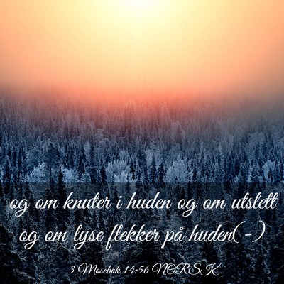 Picture 03 - 3 Mosebok 14:56 NORSK - og om knuter i huden og om utslett og om lyse - Bible Verse Picture